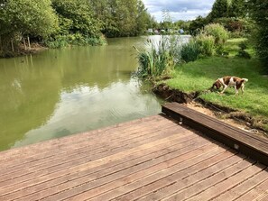 埃及棉床單、高級寢具、舒適加層、迷你吧