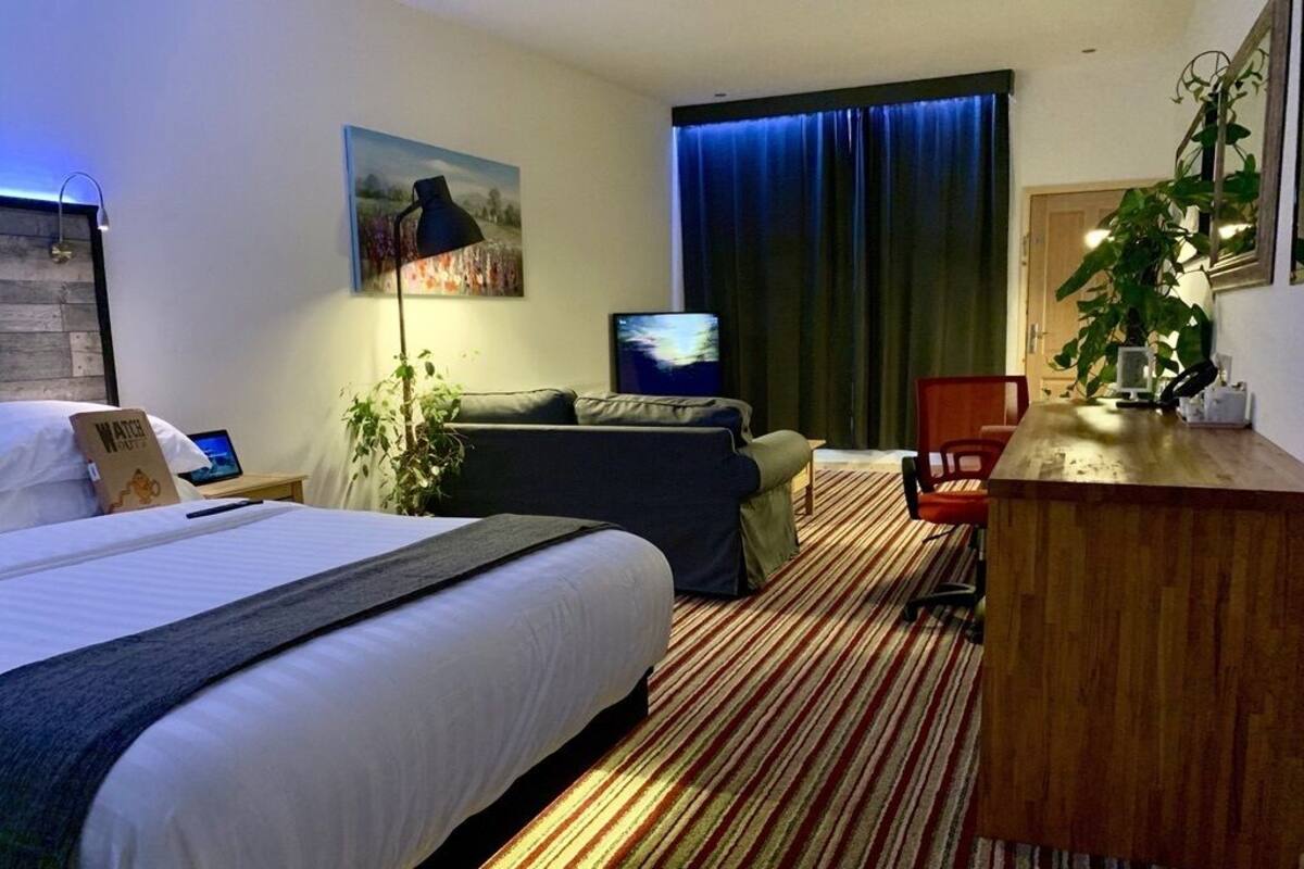 A hotel room with a bed, a sofa, a desk, a TV, and a plant.
