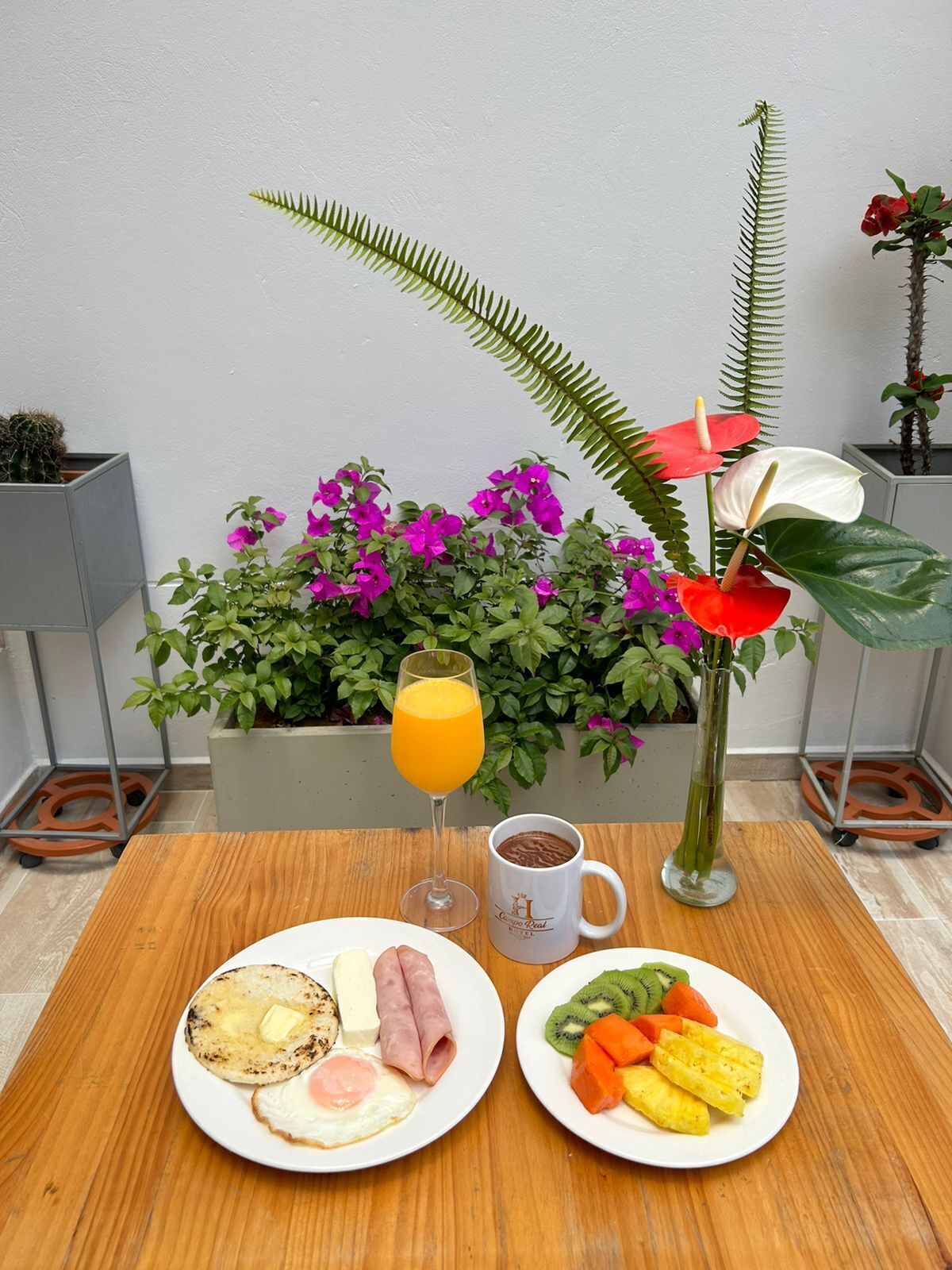 free daily continental breakfast