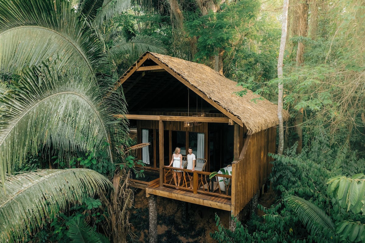 Een houten hut met rieten dak, omgeven door weelderige tropische begroeiing.