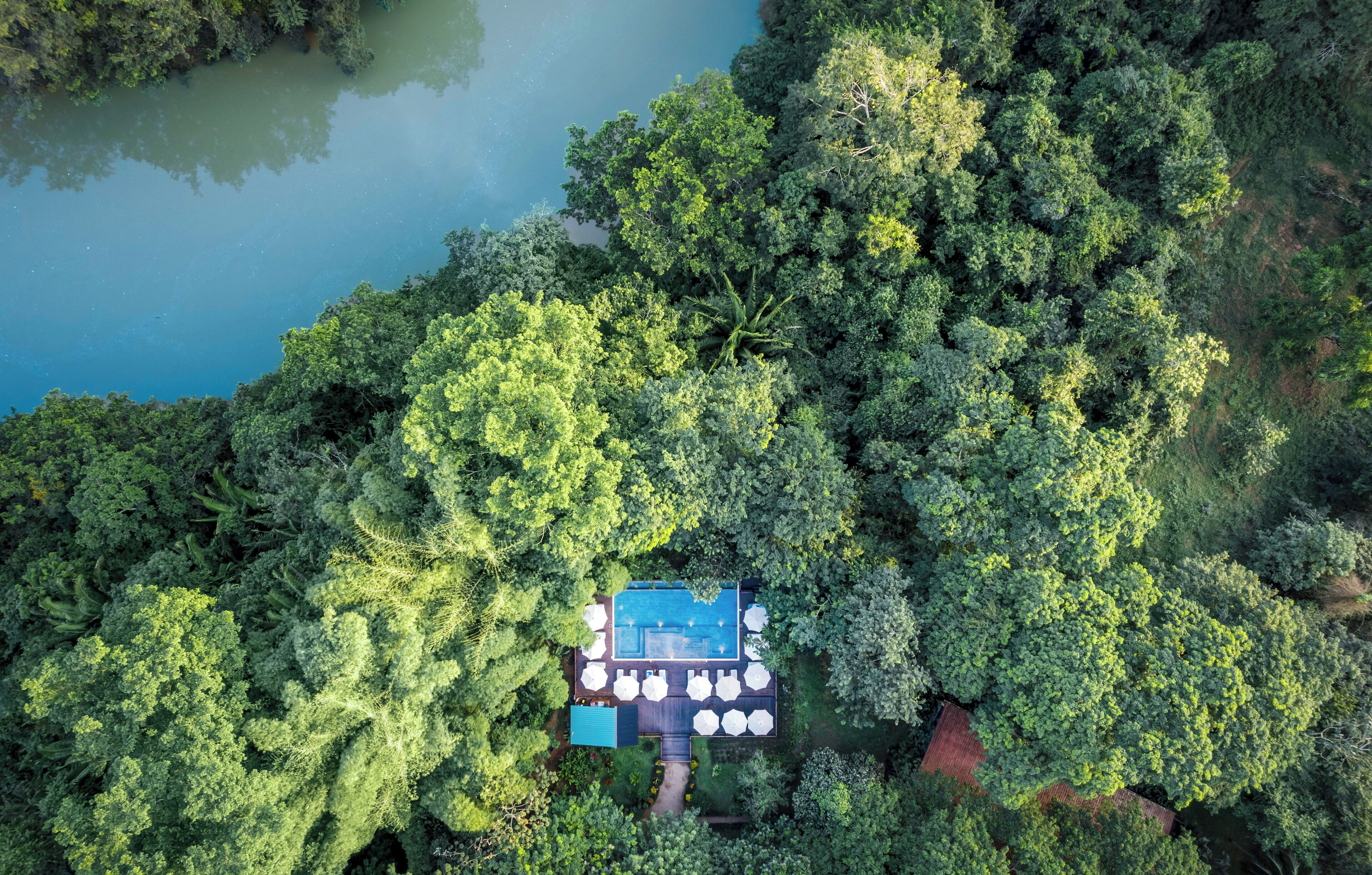 An aerial view of a house surrounded by dense forest, with a swimming pool and outdoor seating area.