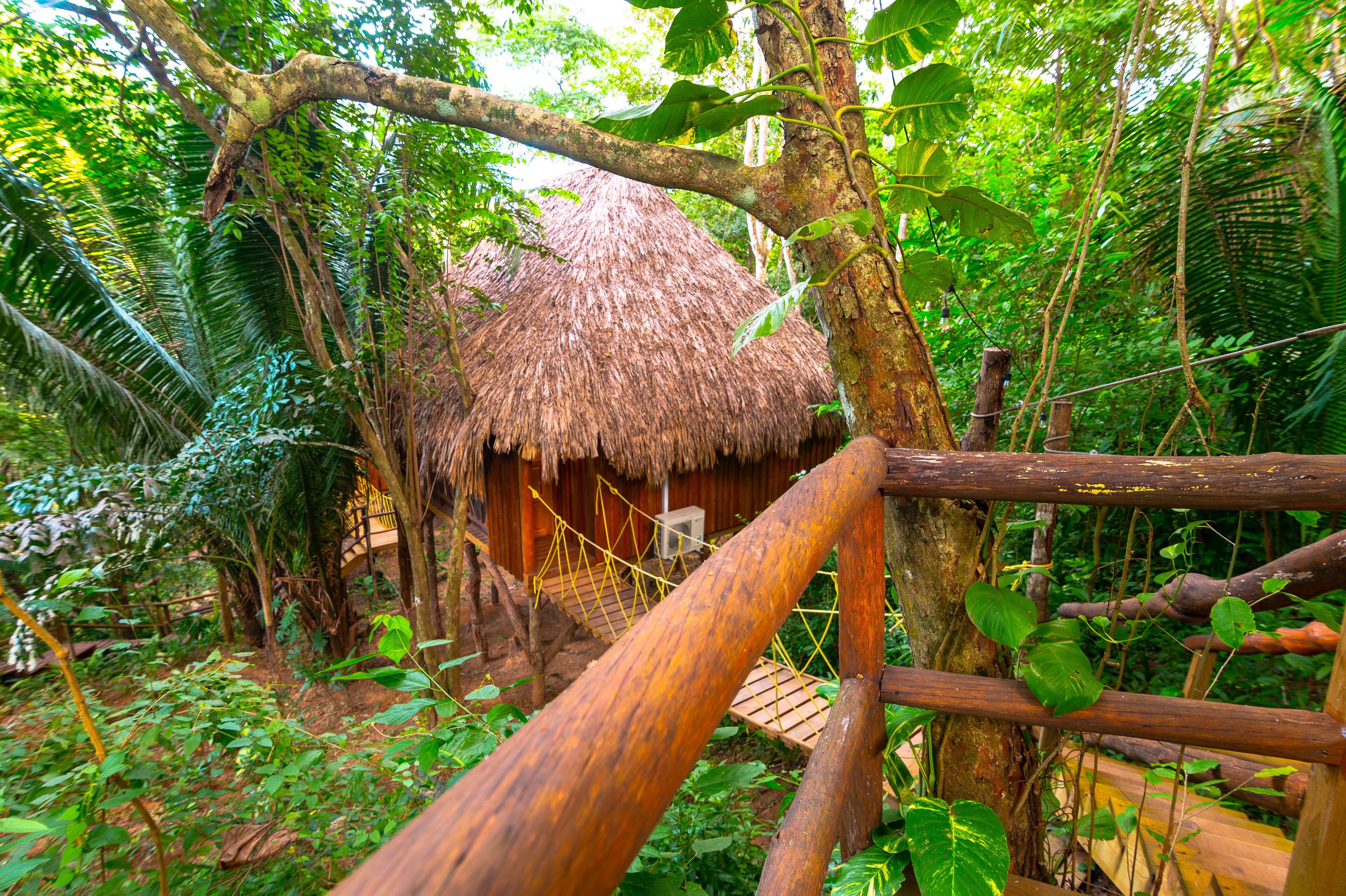 Une hutte à toit de chaume, entourée d’une végétation tropicale luxuriante, reliée à une autre structure par un pont en bois.
