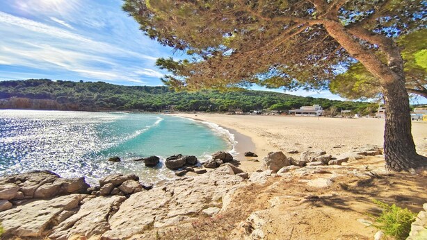 Une plage côtière aux eaux turquoise et limpides, bordée de rochers et offrant un sentier ombragé par des arbres.