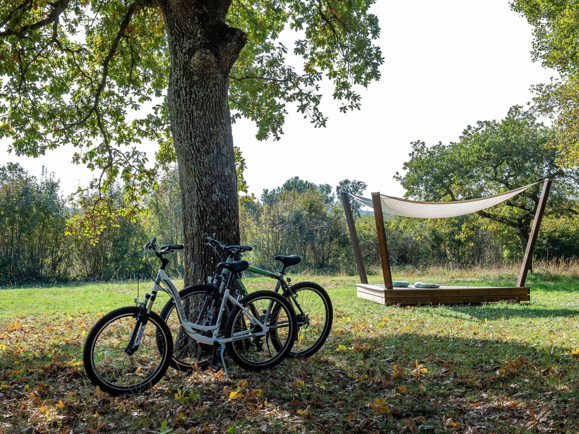 Una hamaca bajo un árbol, con bicicletas estacionadas cerca.