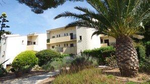 Un edificio con fachada de piedra, varios balcones y una palmera al frente.