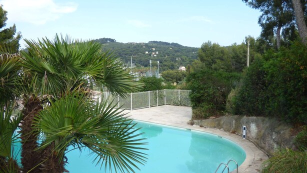 Una piscina de borde curvo, rodeada por una cerca blanca, palmeras y vistas a colinas al fondo.