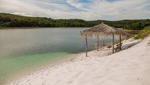Una playa con una cabaña de techo de paja y agua cristalina.