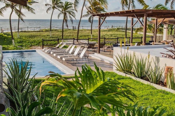 Outdoor pool, sun loungers