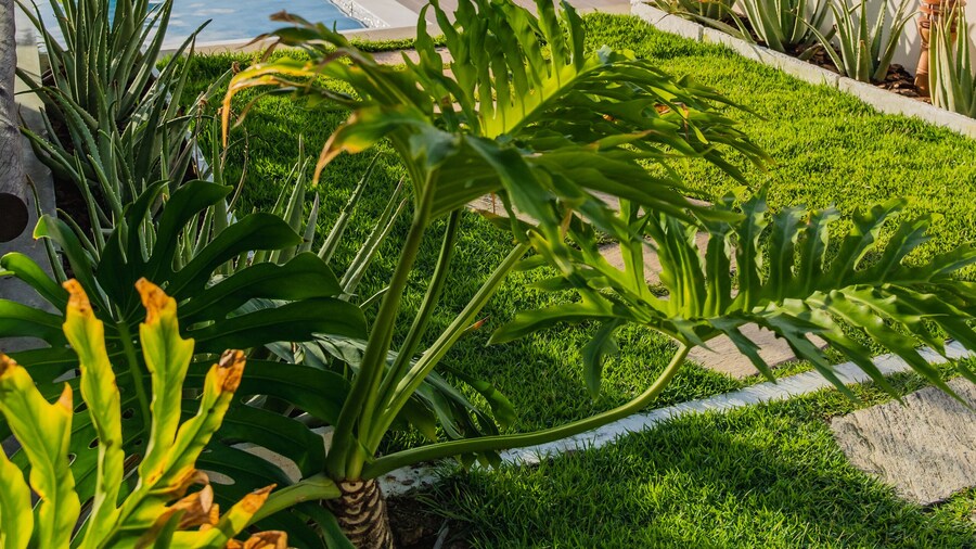 Pousada Aldeola by Slaviero Hotéis