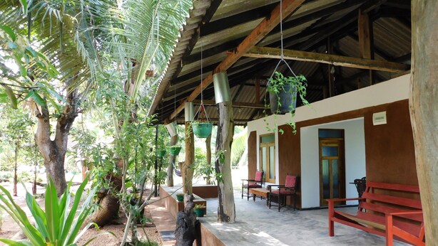 Un espacio al aire libre cubierto con plantas colgantes, un banco y una estructura de madera.