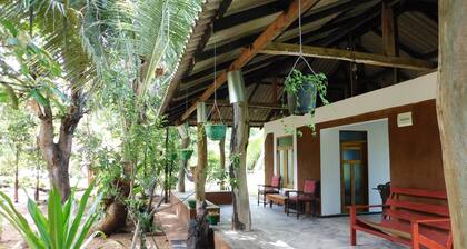 Yala Avian Eye Safari