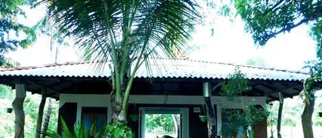 Chambre luxueuse double, 2 chambres, fumeur, vue sur le jardin | Vue sur le complexe