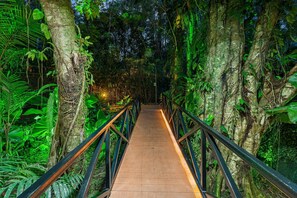 A wooden pathway with metal railings surrounded by dense foliage and trees.