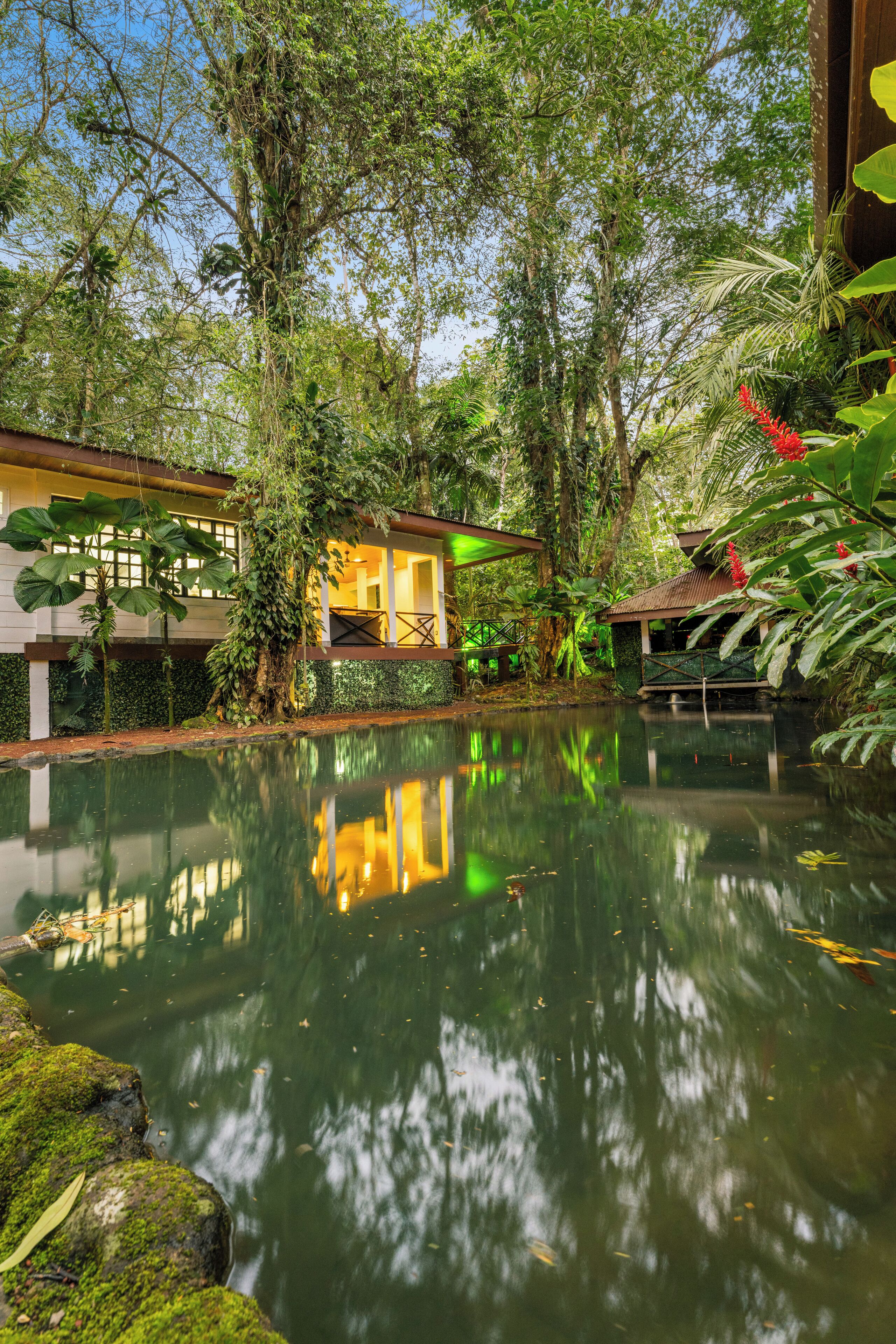 Una piscina tranquila en el interior, rodeada de abundante vegetación y una estructura de madera.