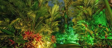 A pathway flanked by lush tropical plants and illuminated by green and yellow lights.