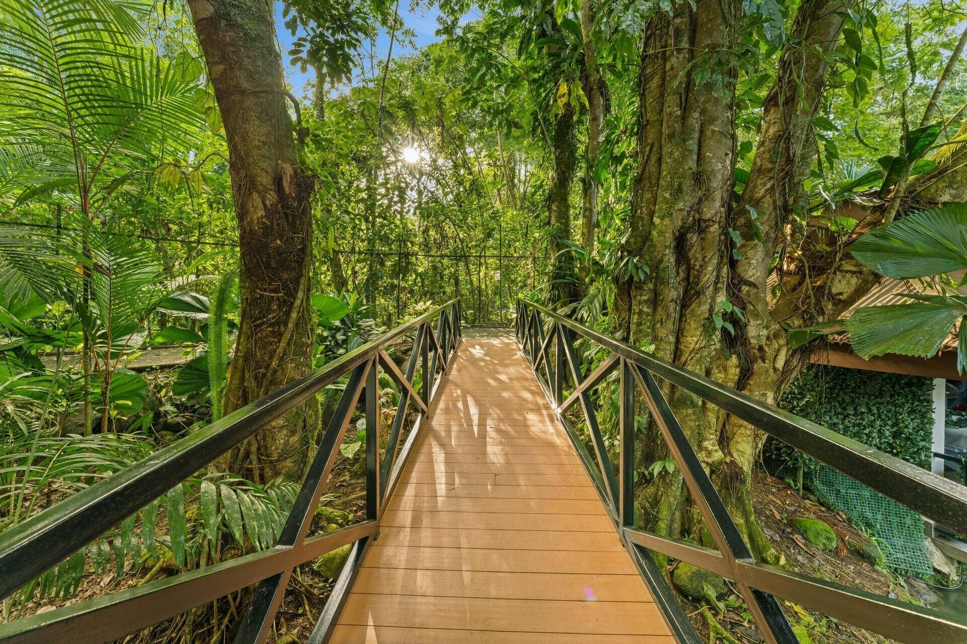 Un pont en bois, doté de garde-corps métalliques, est entouré d’une végétation tropicale luxuriante.