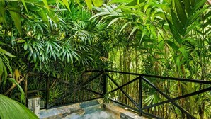 Ein Whirlpool, umgeben von üppiger tropischer Vegetation, mit einer Holzterrasse und Steinpodesten, die zu ihm führen.