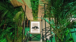 Eine Treppe mit einem Schild, das "Climca" zeigt, umgeben von üppiger Vegetation und Bambuskonstruktionen.