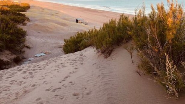 Ein Strand mit Fußspuren, die zu einer kleinen Struktur führen, umgeben von Vegetation.