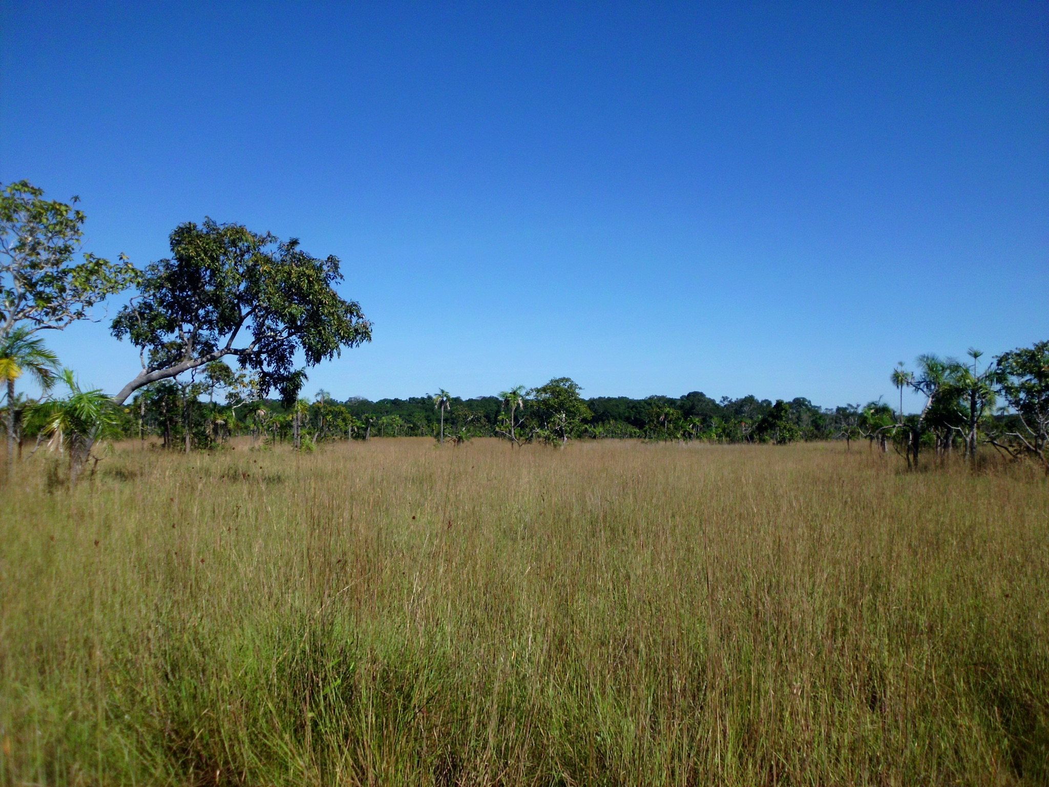Vista da propriedade