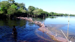 A river with clear water, surrounded by dense green trees.