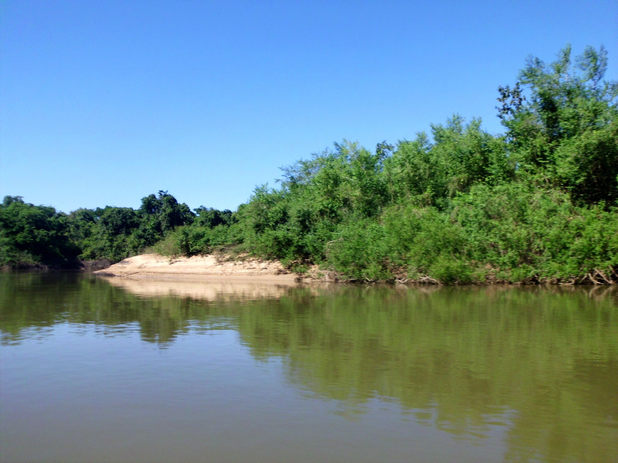 Orilla de río con abundante vegetación y una zona arenosa.