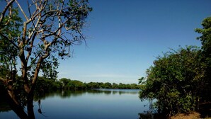 A calm lake surrounded by dense greenery and trees.