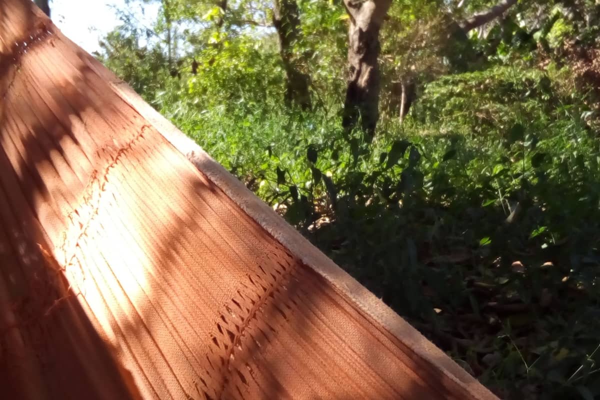 Cabaña tradicional, varias camas, con acceso para personas discapacitadas | Camas extra y ropa de cama