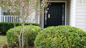 Una casa con una porta d'ingresso nera, un portico bianco e un albero con fiori rosa.