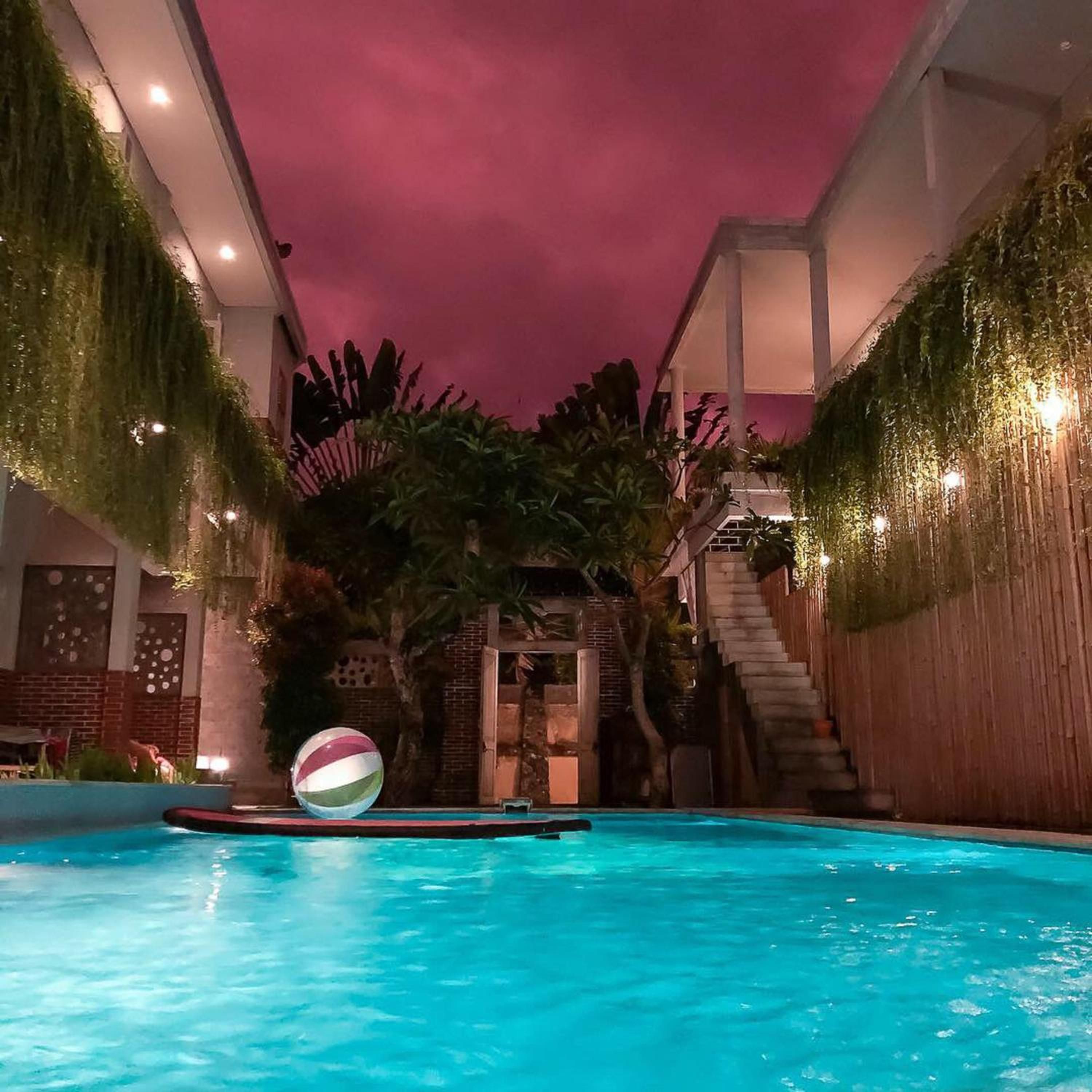 Photo - Mojosurf Camp Canggu - Hostel