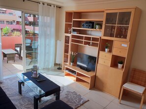 Televisor, reproductor de DVD, llibres i estèreo 