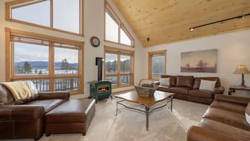 Cheminée, lecteur de DVD, livres, chaîne hi-fi