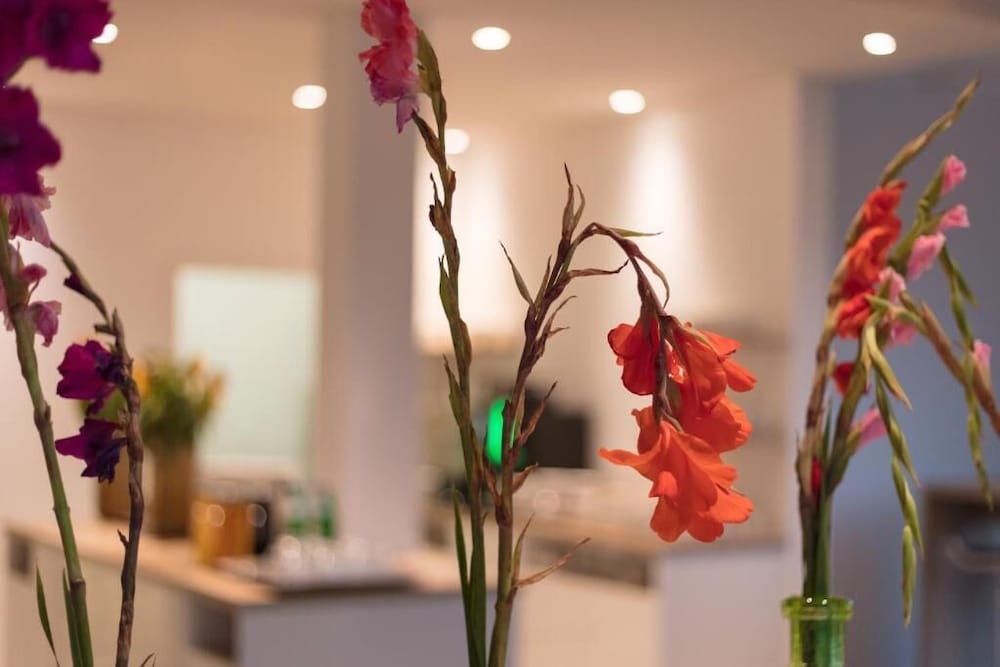 DECK 8 DESIGNHOTEL.SOEST by null