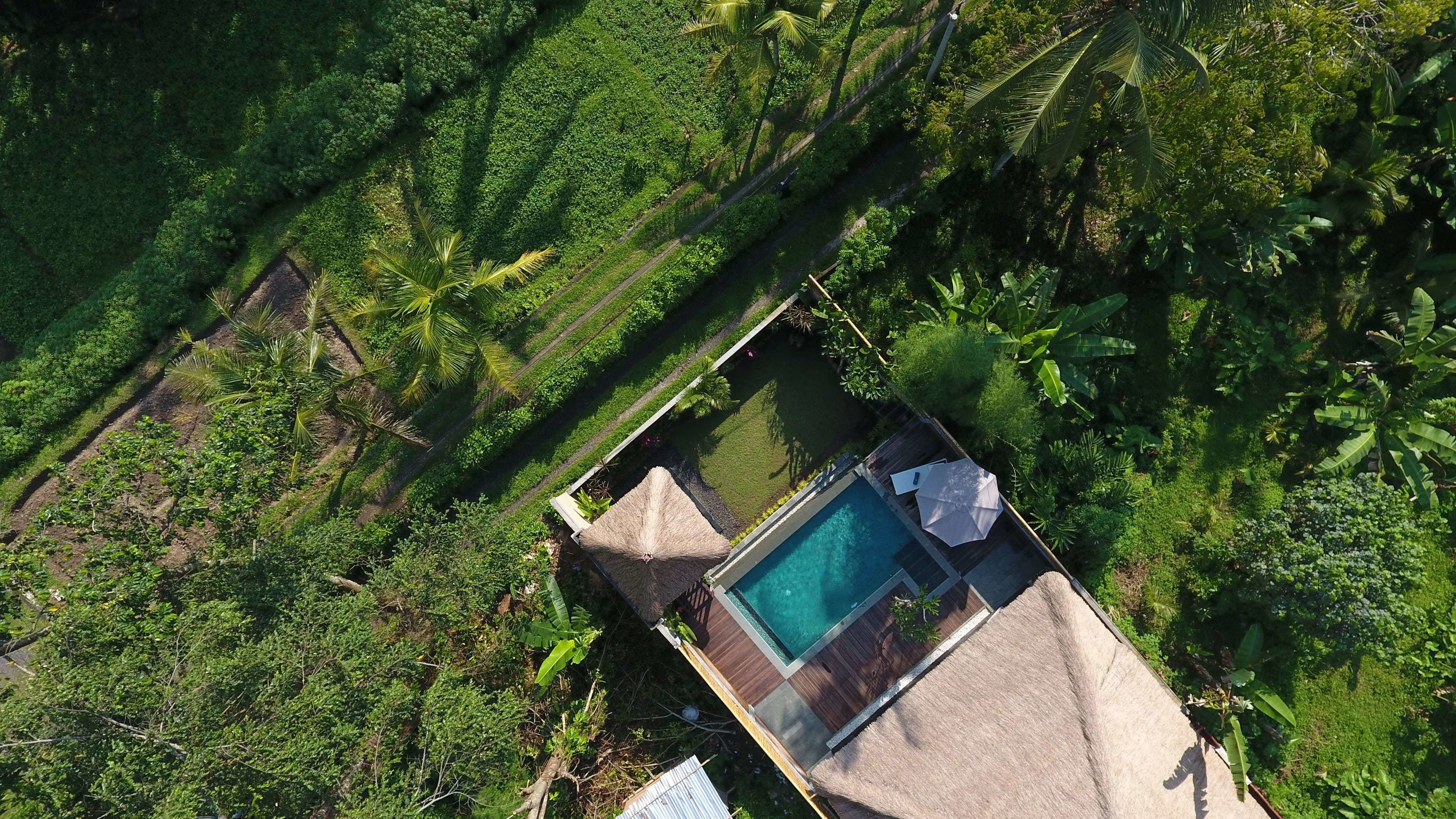 Vue aérienne d’une propriété privée dotée d’une piscine, entourée d’une végétation luxuriante et de palmiers.