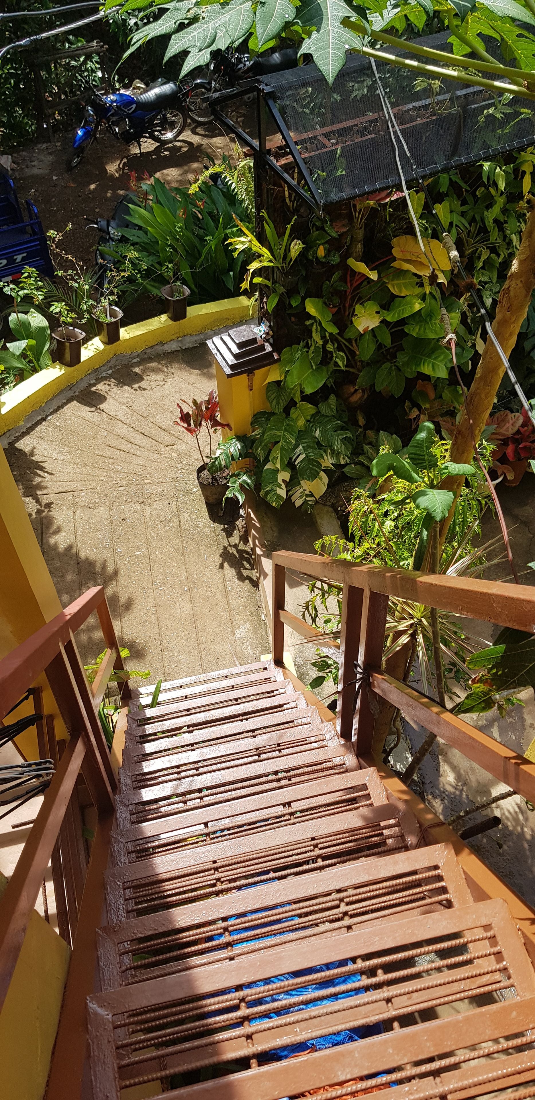 A wooden staircase leading to a covered outdoor area with potted plants and a motorcycle.