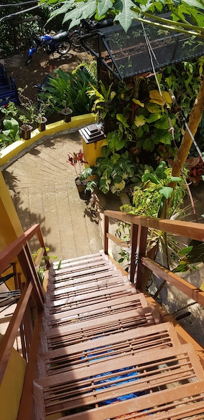 Una escalera de madera conduce a un espacio exterior cubierto con plantas en macetas y una motocicleta.