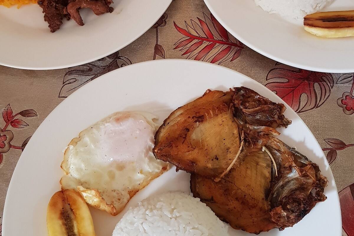 Four plates of food with rice, meat, and eggs.