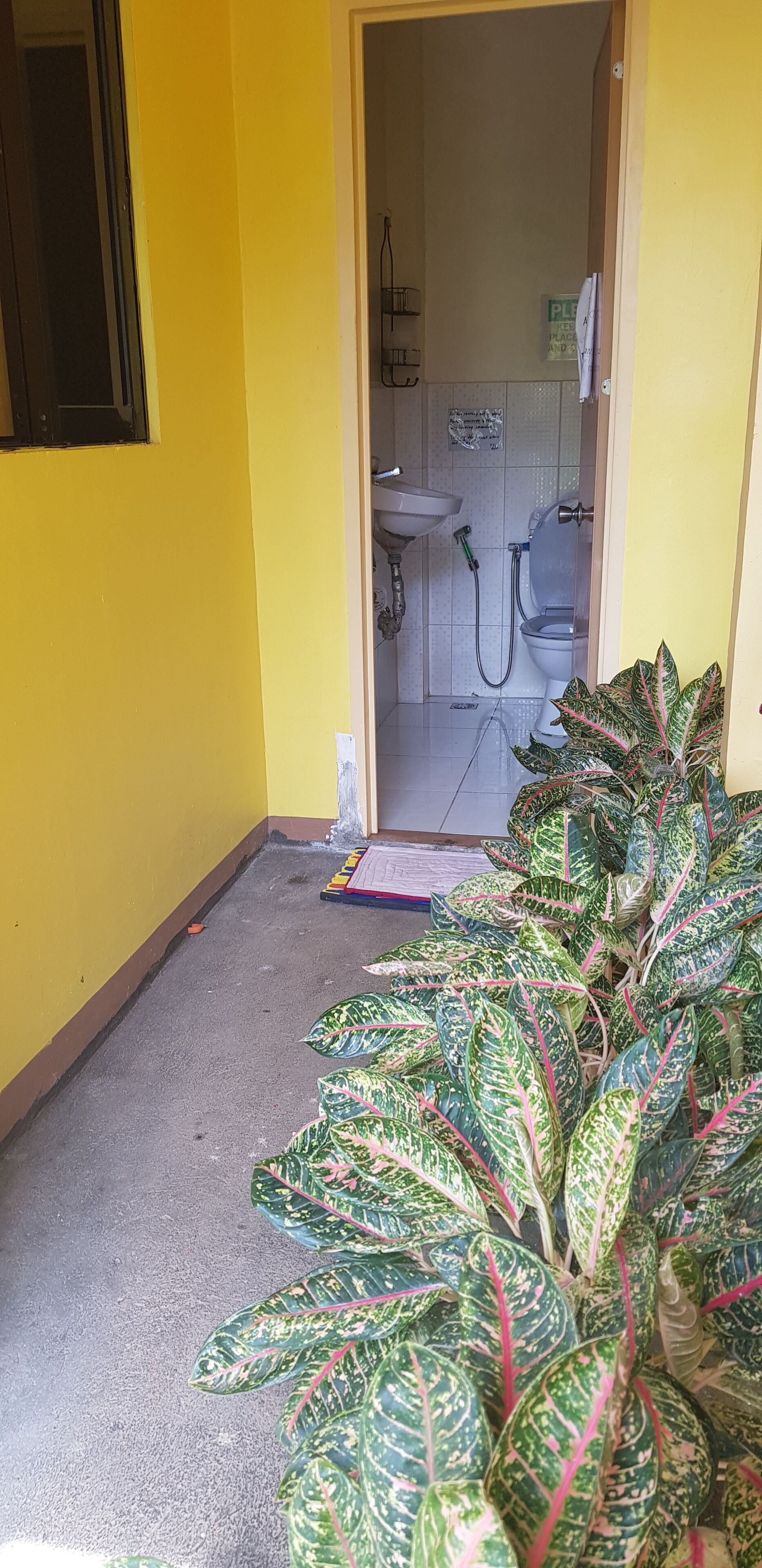 Une petite salle de bain avec des toilettes, un lavabo et une douche. On aperçoit une plante au premier plan.