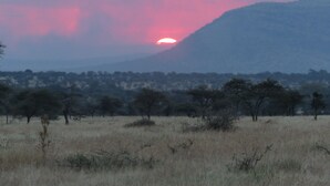 View from property - Serengeti Heritage Luxury Tented camp (Serengeti)