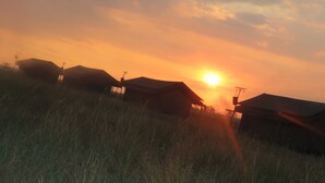 View from property - Serengeti Heritage Luxury Tented camp (Serengeti)