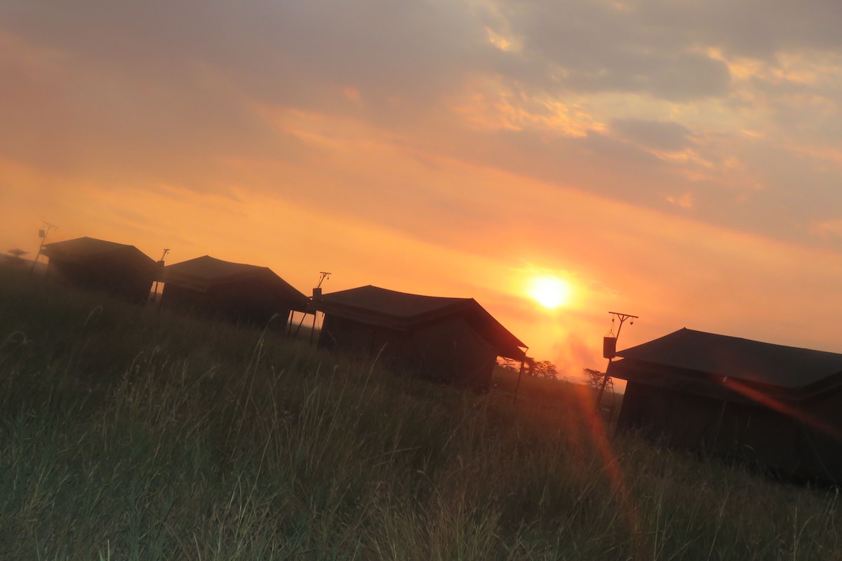 Serengeti Heritage Luxury Tented camp – hotel photo