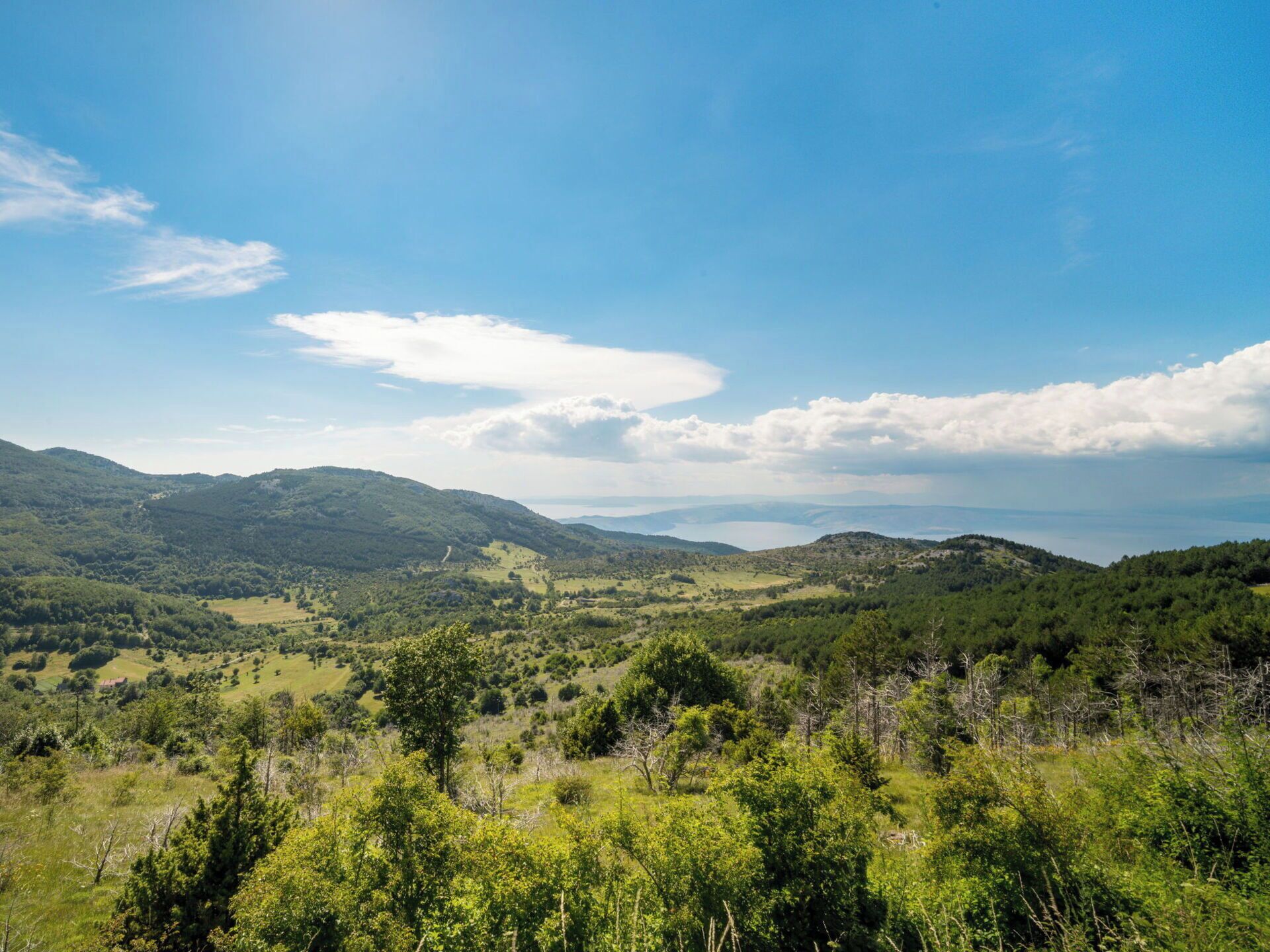 A panoramic view of a lush, green valley with rolling hills and a clear blue sky.