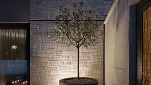 Un arbre en pot, placé dans un grand bac, un mur orné d’un motif géométrique et une porte à motifs en forme de quadrillage.