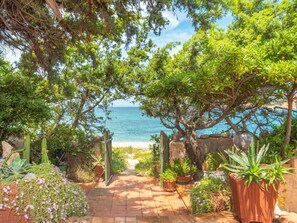 Un sendero que lleva a una playa con vistas al mar, rodeado de plantas y cactus.