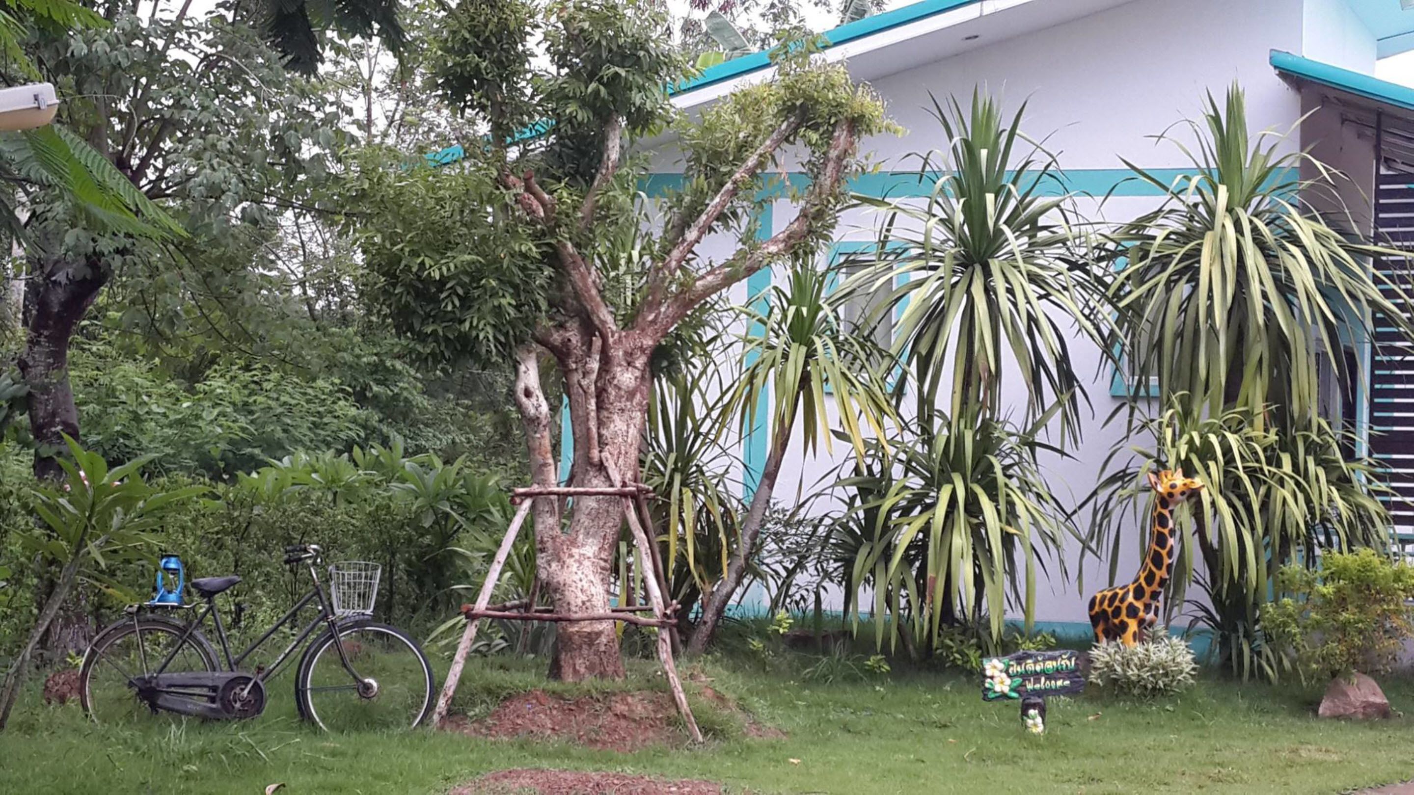 A garden with a tree, a bicycle, and a giraffe statue.