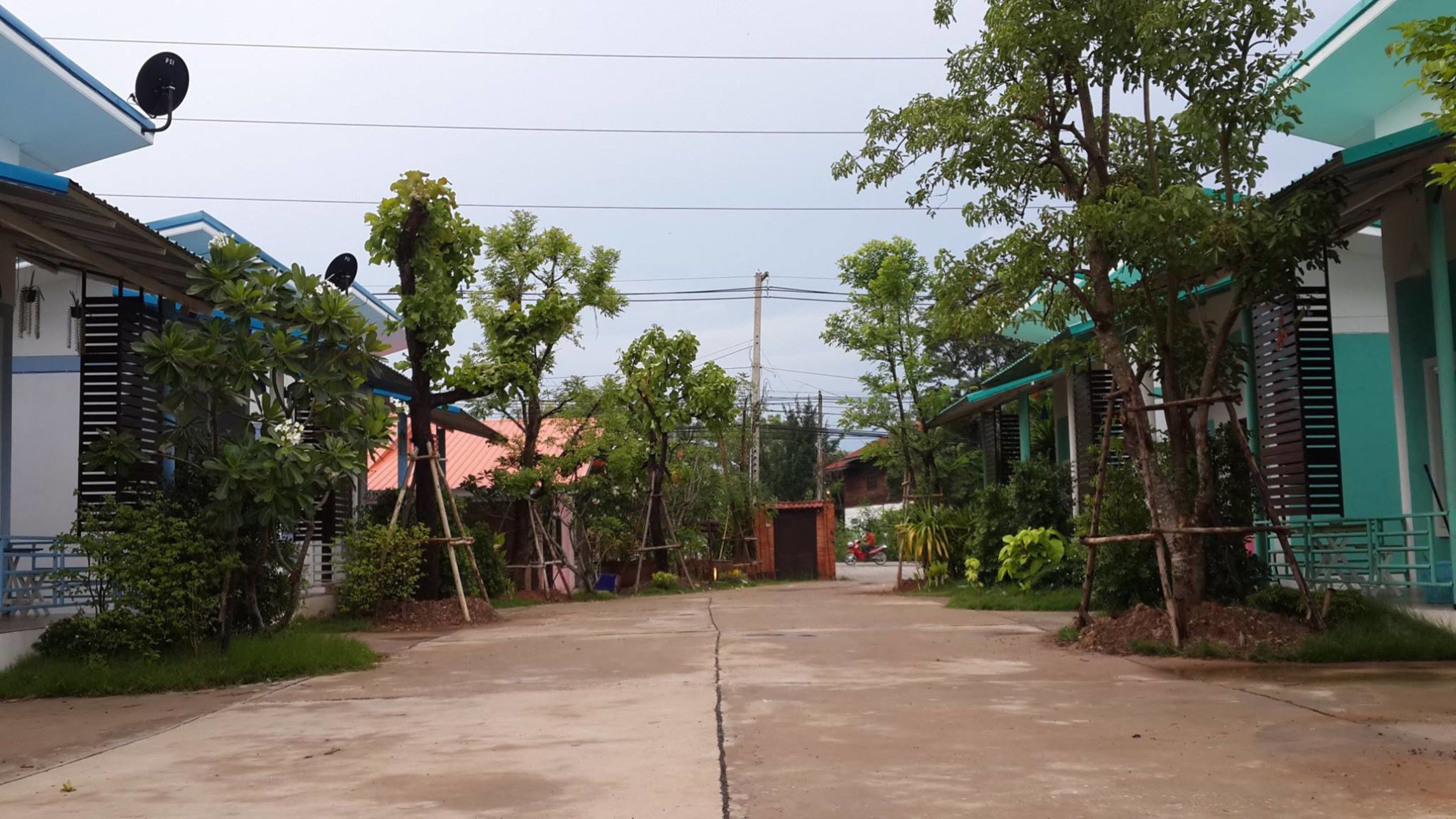 Una calle residencial con casas a ambos lados, antenas parabólicas, árboles y cielo despejado.