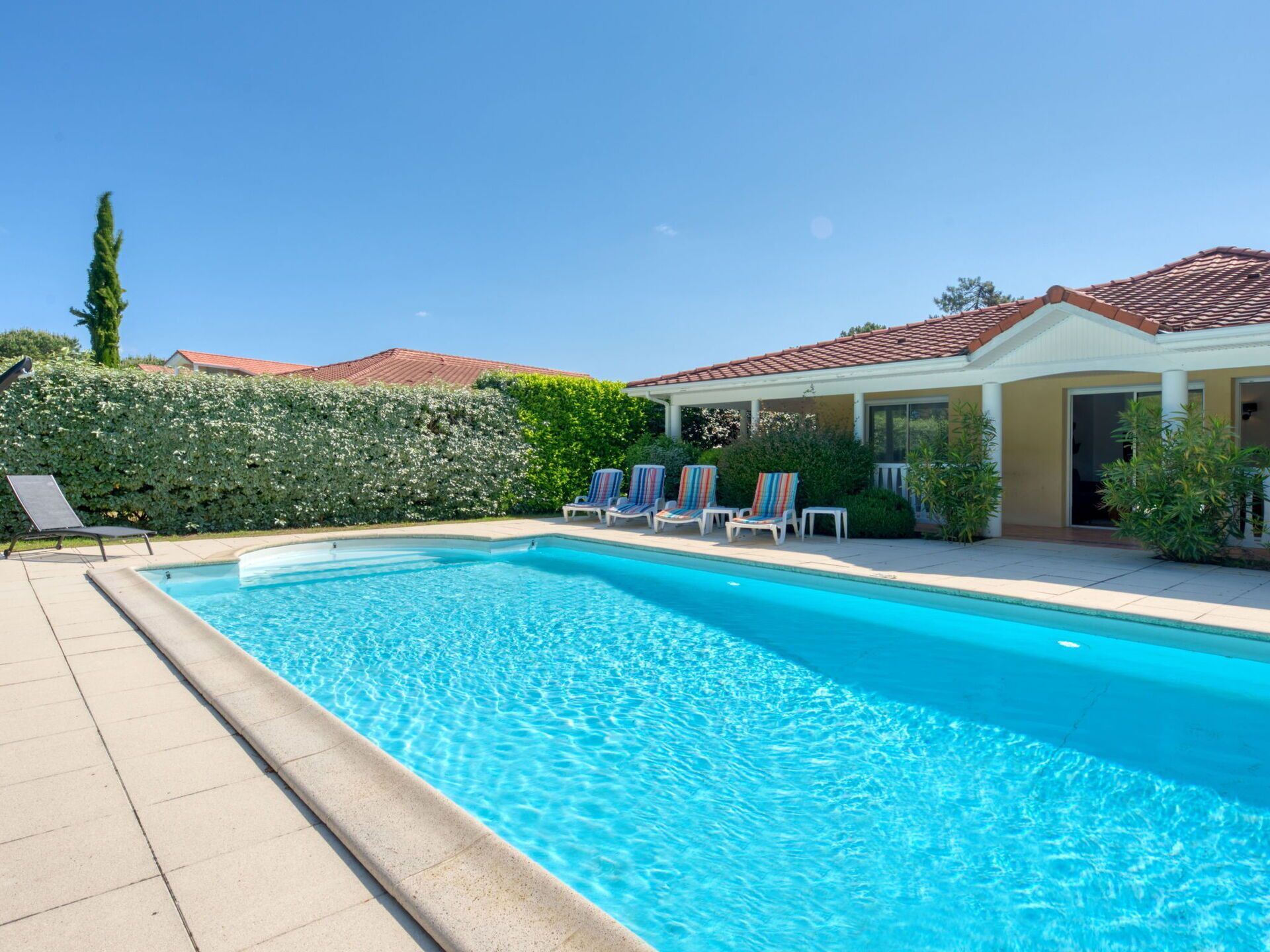 A swimming pool with lounge chairs, a covered patio, and a well-maintained hedge.