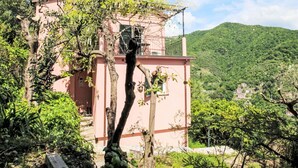A pink building with a balcony, surrounded by greenery and a mountainous backdrop. - Stunning private villa for 4 guests with A/C, TV, terrace and pets allowed (Zoagli)
