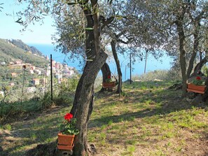 Property grounds - Beautiful private villa for 4 people with A/C, TV and terrace (Zoagli)