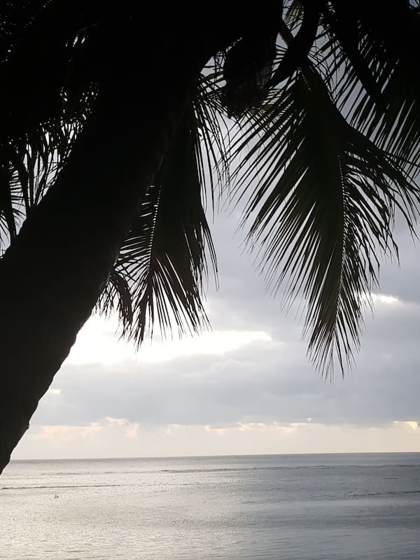 On the beach, white sand, fishing